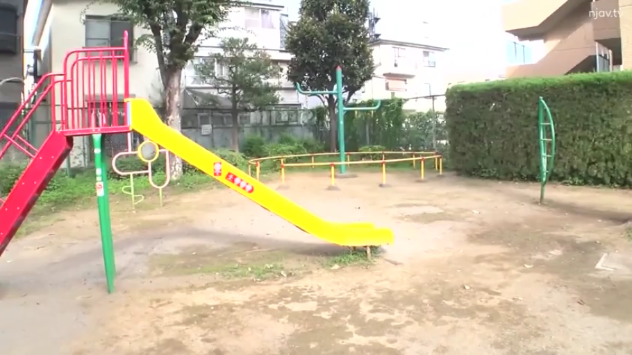 远景 · 公园 · 白天 · 滑梯