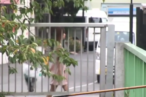 Horizon · 监控视角 · 面部模糊 · Outdoor street · 粉色连衣裙 · 步行 · 侧身行走 · 白色手提袋