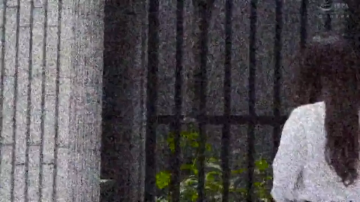 脸部 · 户外 · 常服 · 平淡 · 窥视 · 倚靠 · 画质模糊