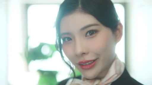 室内 · 脸部特写 · 微笑 · 注视 · 柔光 · 正面 · 丝巾 · 空姐制服