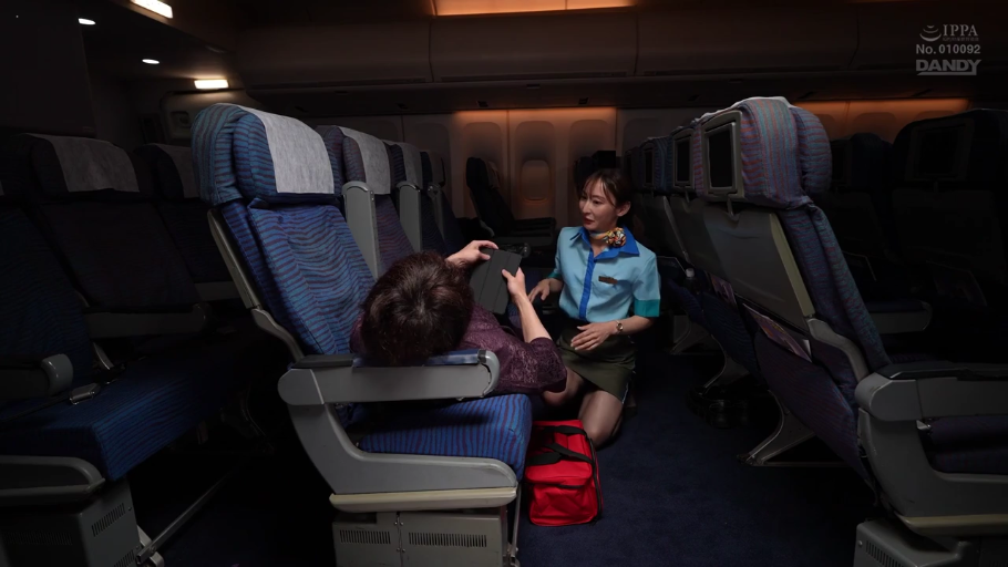 中景 · 自然 · 跪姿 · 制服诱惑 · 平板电脑 · 空姐制服 · 飞机机舱 · 服务交流