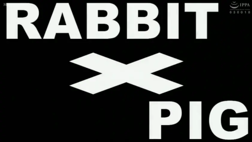 标题画面 · 黑色背景 · 文字特写 · 标识