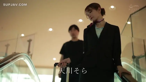 站立 · 行李箱 · 中景 · 职场 · 冷淡 · 空姐制服 · 机场 · 乘电梯