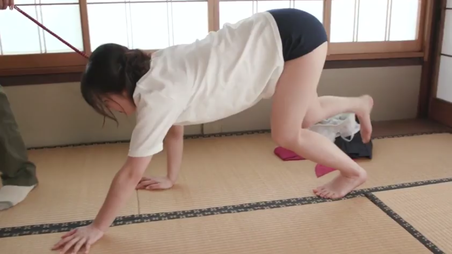 和室 · 全景 · 调教 · 体操服 · 牵引绳 · 四肢着地 · 服从 · 宠物化