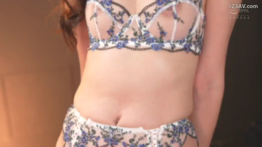 室内 · 站姿 · 躯干特写 · 静态摆拍 · 无脸 · 蕾丝刺绣内衣 · 半透明