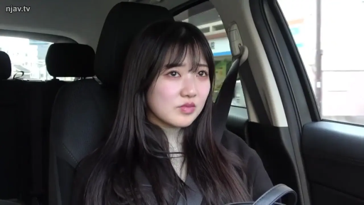 座り姿勢 · 面部 · 平静 · プロット · 乘车 · 车内 · シートベルト · 棕色外套