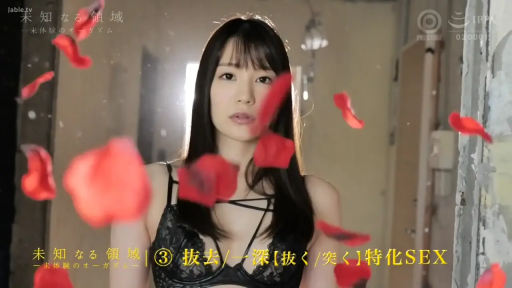 室内 · 半身特写 · 黑色蕾丝内衣 · 有水印 · 凝视镜头 · 冷艳 · 正位站姿 · 红花瓣