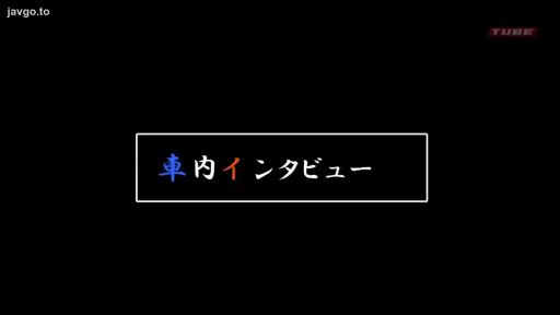 车内