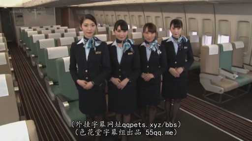 站立 · 中景 · 微笑 · 多人 · 注视镜头 · 飞机客舱 · 飞机座椅 · 乘务员制服