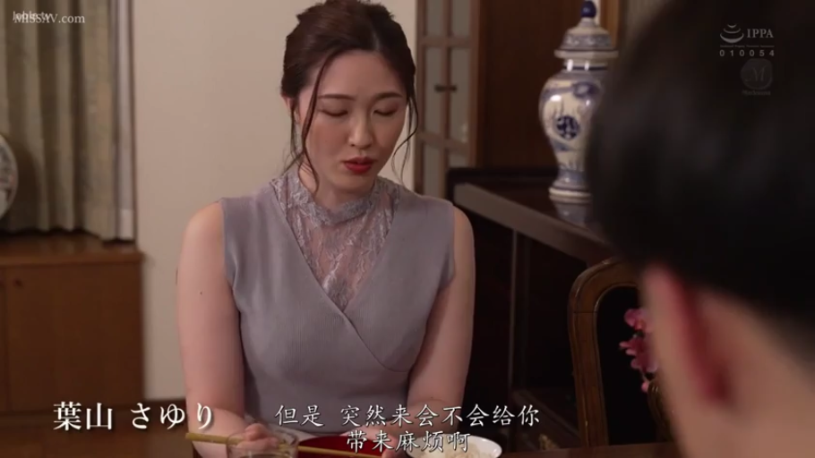 座り姿勢 · 会話 · 真剣 · 半身 · 餐厅 · 无袖上衣 · 熟女 · 餐具