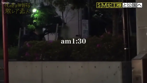 站立 · 远景 · 模糊 · 深色外套 · 指示牌 · 徘徊 · 深夜公园 · 夜晚拍摄