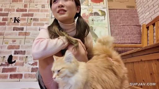 Squat position · Medium shot · 更衣室 · Twin tails · 开心 · 粉色毛衣 · 猫 · 逗猫