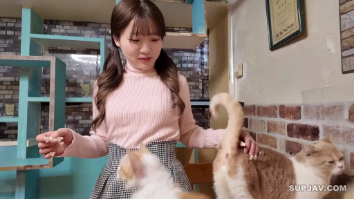 中景 · 站姿 · 微笑 · 双马尾 · 猫 · 粉色高领毛衣 · 撸猫 · 猫咖啡厅