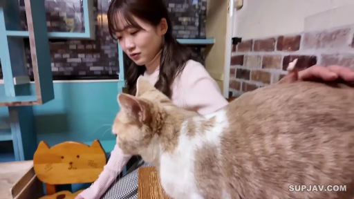 Sitting Posture · 自然 · 清纯 · 毛衣 · Side face · 猫 · 撸猫 · 猫咖