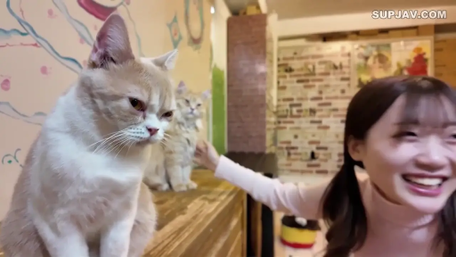 Indoor · Sitting Posture · Smile · 特写 · Casual wear · 猫 · 非色情内容 · 逗猫