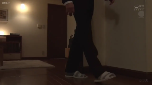 走廊 · 行走 · 地毯 · 拖鞋 · 腿部特写 · 低光照 · 走动