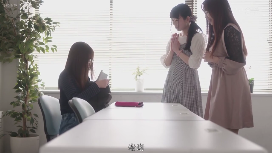 盆栽 · 全景 · 日常服饰 · 开心大笑 · 交流互动 · 室内办公室 · 坐站结合 · 多人女性