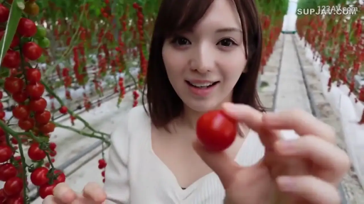 Stand · Display · Smile · White top · 手部 · Farm · 户外感 · 圣女果