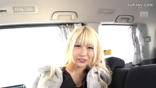 坐姿 · 微笑 · 半身特寫 · 注视镜头 · 金髮 · 汽车内 · 车载窗帘 · 黑色上衣与毛绒外套