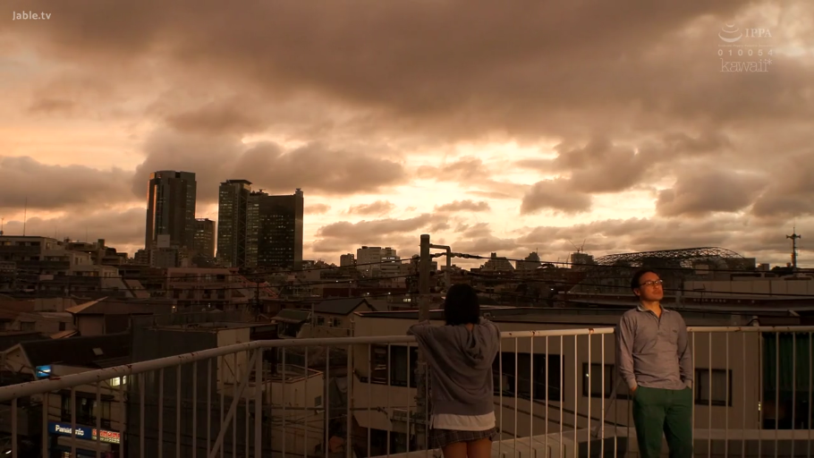 Back to the camera · Horizon · 栏杆 · bland · 连帽衫 · 楼顶 · Gazing into the distance · 黄昏