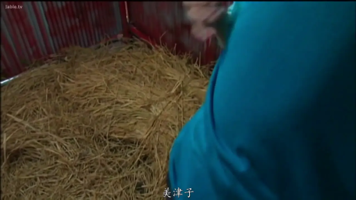 弯腰 · 特写 · 局部 · 劳作 · 蓝色运动服 · 稻草 · 谷仓