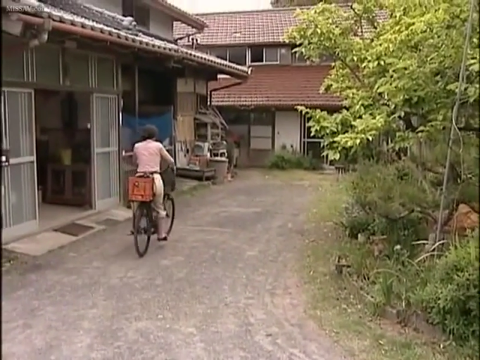 自行车 · 乡村院落 · 粉色短袖上衣 · 绿植环绕