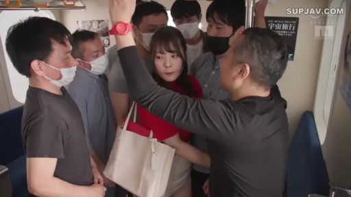 严肃 · 站立 · 手提包 · 休闲服 · 电车 · 拥挤 · 痴汉行为