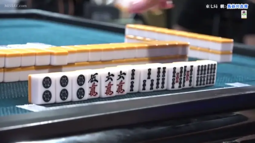 Indoor · Item Close-up · Playing cards · 麻将