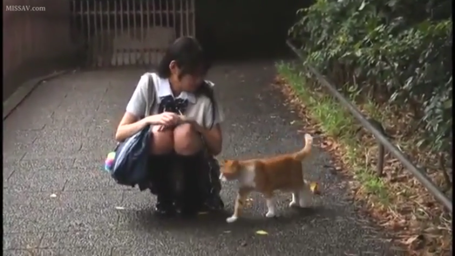 全身 · 蹲姿 · 自然 · JK制服 · 屋外 · 街拍 · 猫 · 逗猫