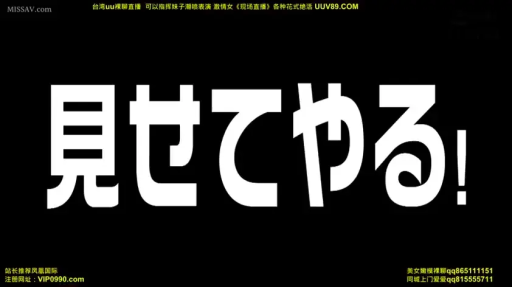 字幕 · 显示字幕 · 黑色背景 · 文字特写 · 日文内容