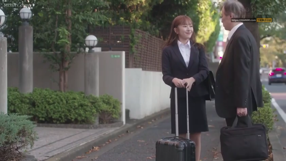 Conversation · Stand · Suitcase · 全景 · Smile · Business attire · Plot · Street