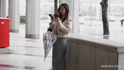 全身 · 站姿 · 平靜 · 街道 · 看手機 · 雨傘 · 毛绒外套 · 下雪