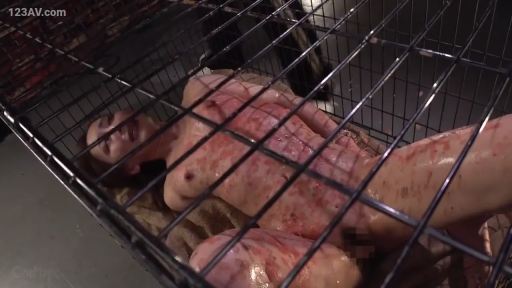 全裸 · 血腥 · 痛苦 · 卧姿 · 铁笼 · 麻袋 · 身体特写 · 监禁