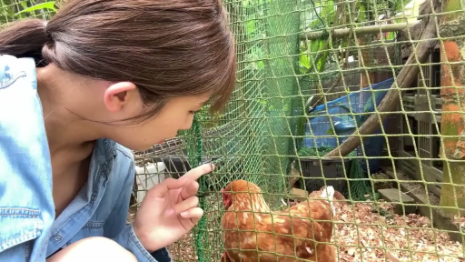 专注 · 蹲姿 · 日常 · 侧脸 · 牛仔外套 · 户外鸡舍 · 逗弄动物 · 活鸡