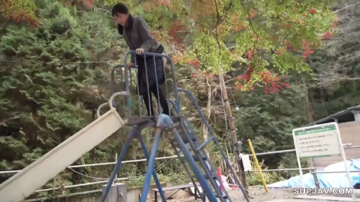 站立 · 全景 · 自然 · 野外 · 公園 · 深色外套 · 攀爬 · 滑梯