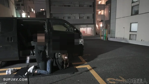 全景 · 休闲服 · 野外 · 模糊处理 · 停车场 · 户外性行为 · 俯卧跪姿 · 面包车