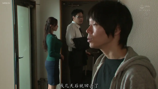 交谈 · 严肃 · 站立 · 职业装 · 门 · 玄关 · 剧情介绍