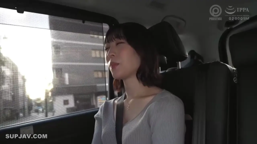 坐姿 · 半身 · 车内 · 灰色针织衫