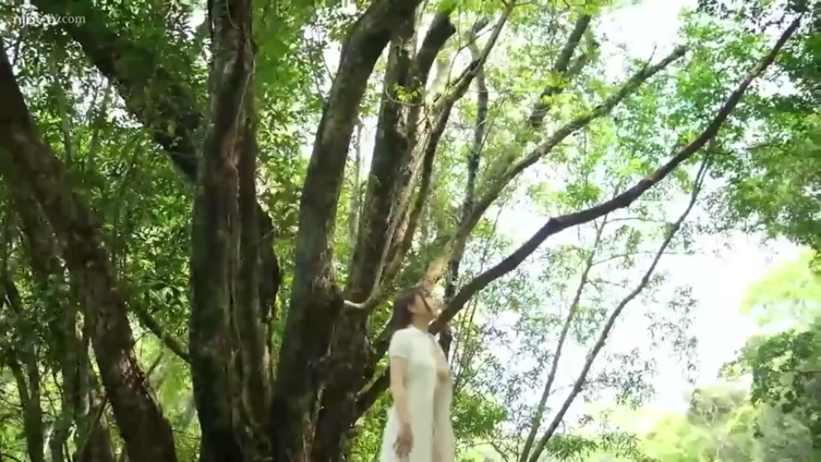 站立 · 远景 · 户外 · 白色连衣裙