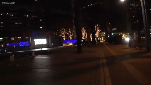 远景 · 装饰灯 · 夜景 · 夜间街道