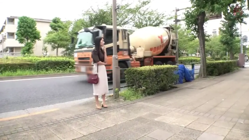 站立 · 平静 · 远景 · 挎包 · 户外 · 等待 · 街拍 · 淑女装