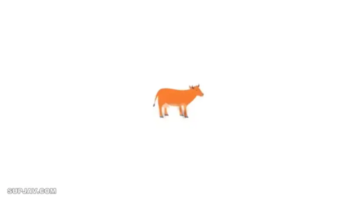 站立 · 全景 · 白色背景 · 奶牛