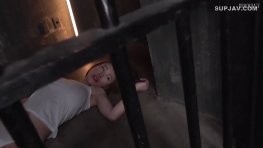 面部 · 迷離 · 白襯衫 · 栏杆 · 呻吟 · 凌辱 · 躺卧 · 地下室