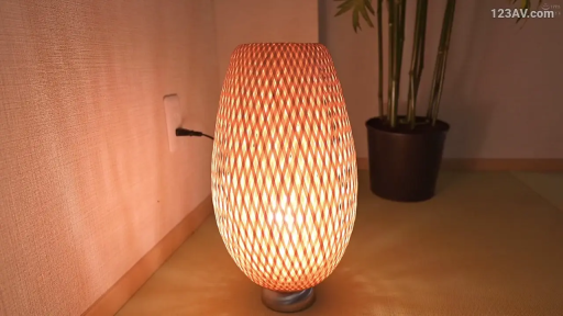 室内 · 盆栽 · 暖色调 · 灯具特写