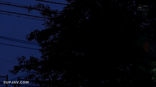 室内 · 性交 · 仰卧 · 裸体 · 近景 · 高潮脸 · 口罩 · 动漫