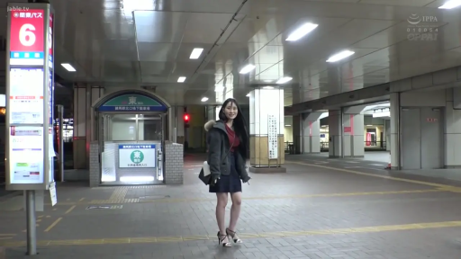 Whole body · Fur collar coat · 行走 · Invisible · Package · 街头 · 地铁站 · 步行