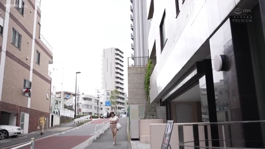 紧身裙 · 平静 · 远景 · 手提包 · 街道 · 行走 · 白天 · 步行