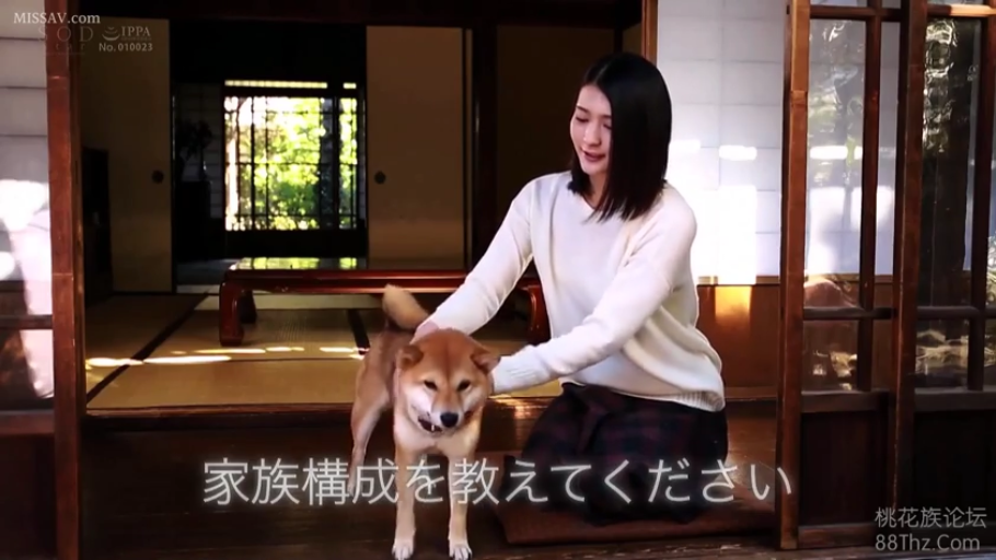 跪坐 · 和室 · 中景 · 微笑 · 白色针织衫 · 抚摸宠物