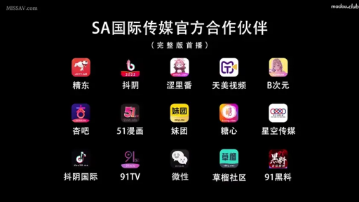 黑色背景 · 图标 · 合作伙伴展示