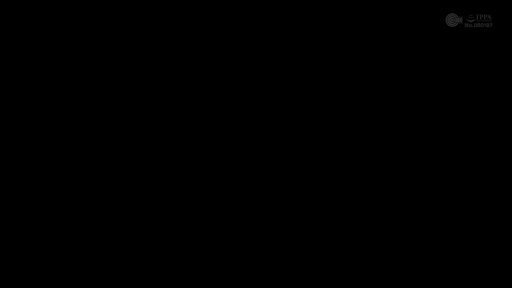 一致したフレーム 1